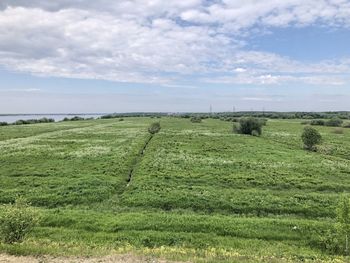 Scenic view of field against sky