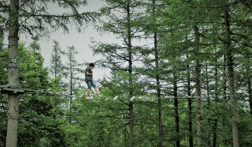 Boy standing on cable in forest