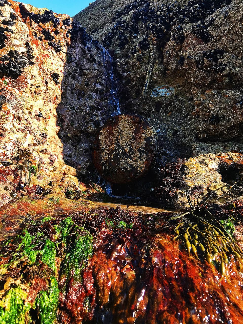 AERIAL VIEW OF SEA AND ROCKS