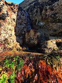 Aerial view of sea by rock formation