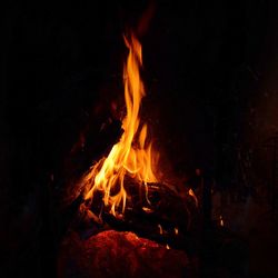 Close-up of bonfire at night