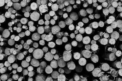 Full frame shot of logs in forest