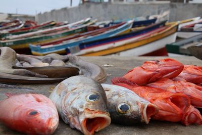 Close-up of fish in market