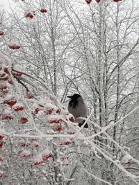 Bird perching on branch