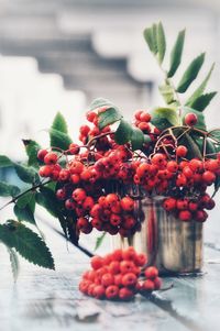 Close-up of rowanberries in container on table