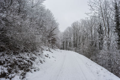 Snow covered road amidst trees against sky