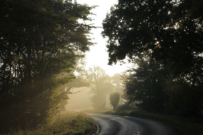 Road amidst trees against sky