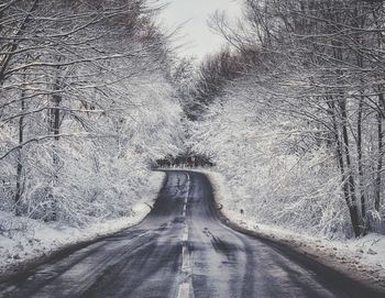 Snow covered road amidst trees during winter