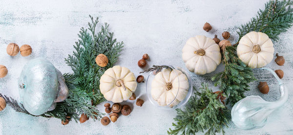 Directly above shot of pumpkin in plate on table