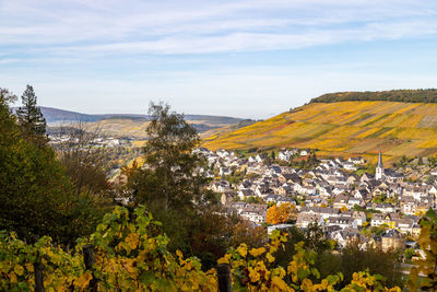 Scenic view at bernkastel-kues and the river moselle valley in autumn with multi colored landscape