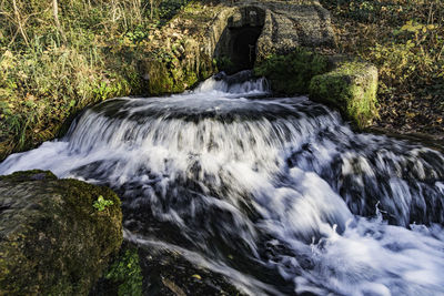 High angle view of stream flowing through rocks in forest