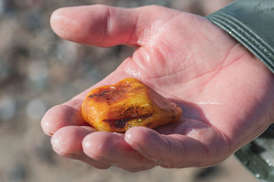 Amber catching in the baltic sea. piece of amber in the hand of an amber catcher or fisherman