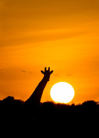 Silhouette woman holding hands against orange sky