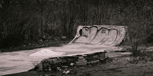 Graffiti on stone wall in forest