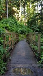 Footbridge in forest