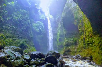 Scenic view of waterfall in forest against sky