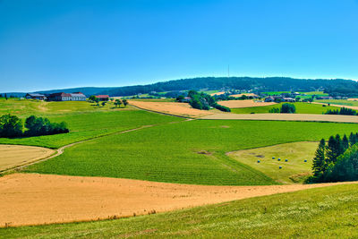 Scenic view of agricultural field against clear sky