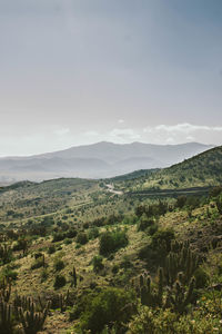 Scenic view of landscape against sky