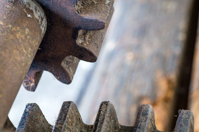 Low section of old shoes on wood