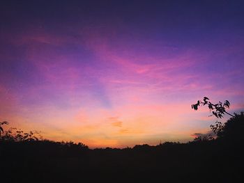 Silhouette trees on landscape against romantic sky at sunset