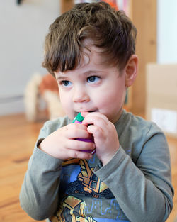 Portrait of a young boy of three playing with a toy in the living room