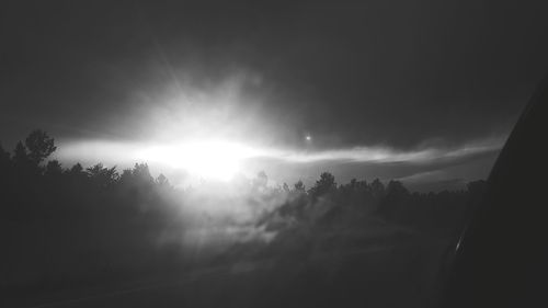 Sun shining through trees