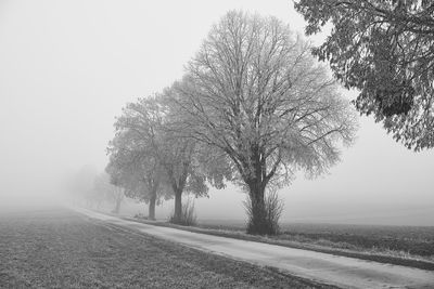 Road by tree against sky