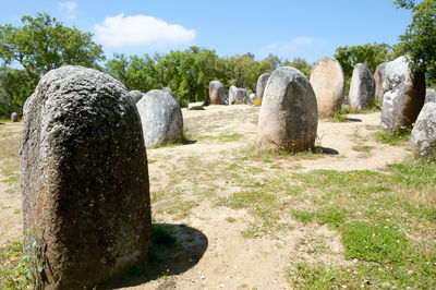 Stone wall on field against sky