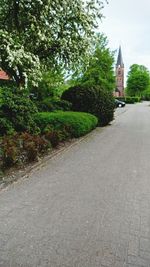 Street amidst trees and buildings in city