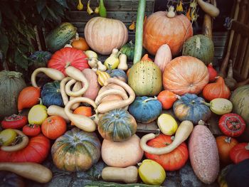 Various pumpkins in market