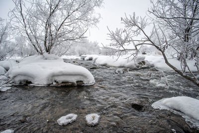 Frozen river by bare trees during winter