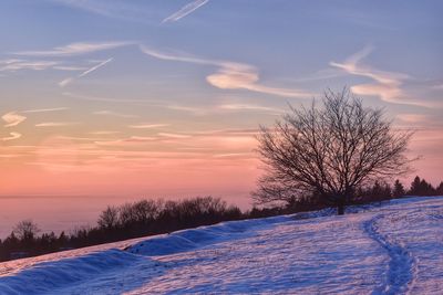Bare tree on snow covered field against sky at sunset