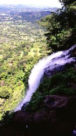 Scenic view of waterfall in forest