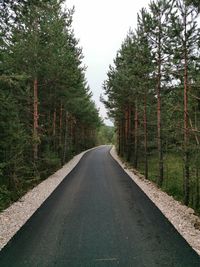 Road amidst trees in forest against sky