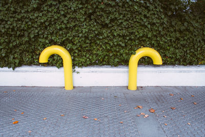 High angle view of yellow bicycle on footpath in park