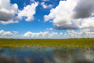 Scenic view of field against sky