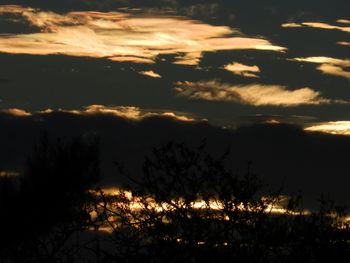 Silhouette trees against dramatic sky during sunset