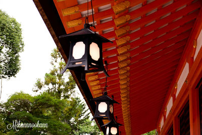 low angle view