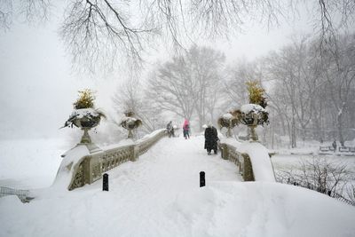 Snowcapped footbridge during winter