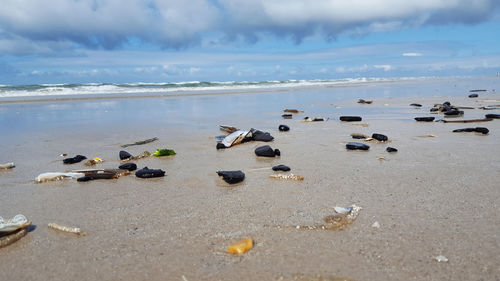 Scenic view of beach against cloudy sky