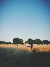 Scenic view of landscape against clear sky