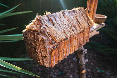 Close-up of rusty metal wood