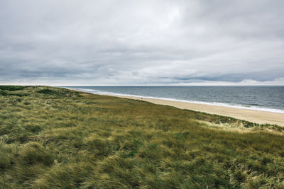 Dune landscape at the west beach in list a t the island of sylt in germany with north sea view