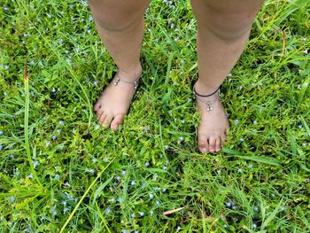 Low section of person standing on field