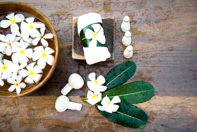 High angle view of white flowers on table