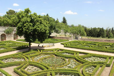 Trees in park against sky