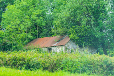 House amidst trees and plants growing on field in forest