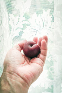 Close-up of hand holding fruit