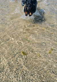 Reflection of people in water