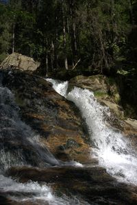 Stream flowing through rocks in forest